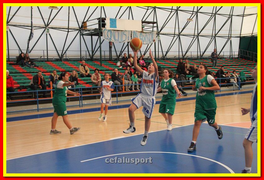 140301 GM_basket 175_tn.jpg